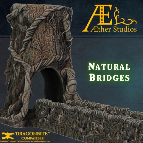 Image of AENATT02 - Natural Bridges