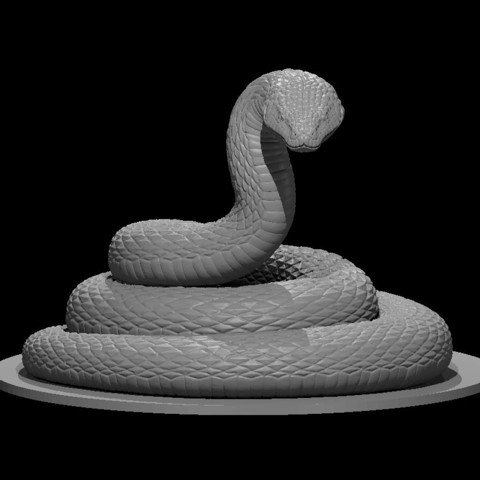 Image of Giant Constrictor Snake coiled