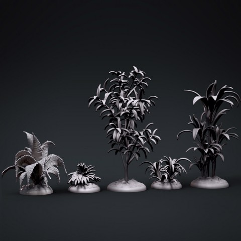 Image of plants set 1