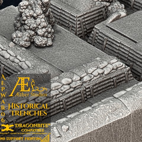 Image of AEPWAR06 - Historical Trenches