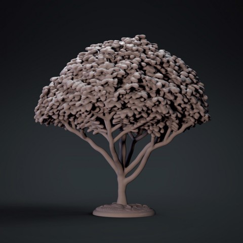Image of Tree 1