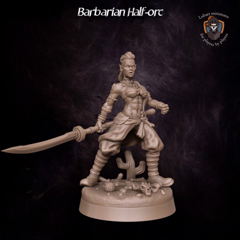 Image of Barbarian half-orc