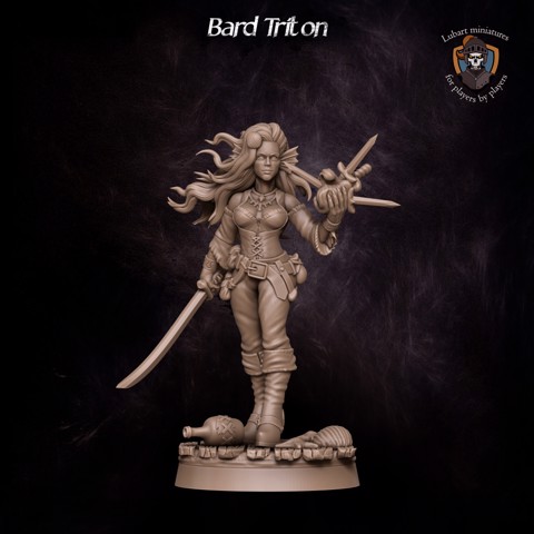 Image of Bard Triton
