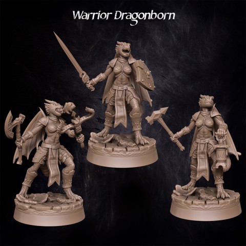 Image of Warrior Dragonborn