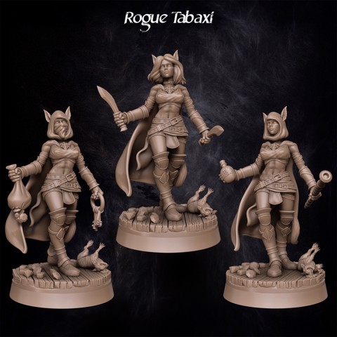 Image of Rogue Tabaxi