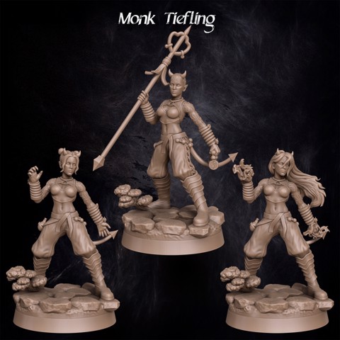 Image of Monk Tiefling