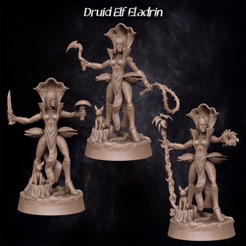 Image of Druid Elf Eladrin