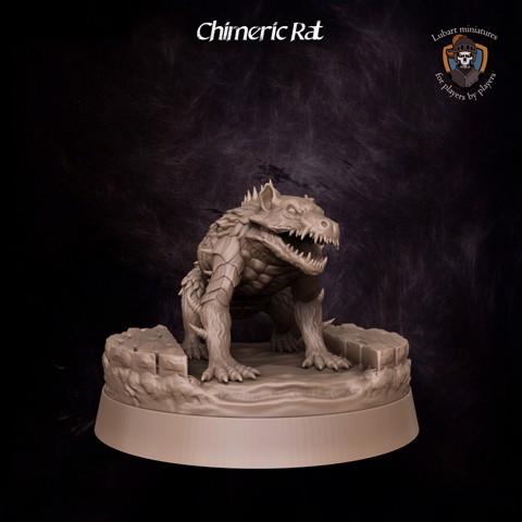 Image of Chimeric Rat