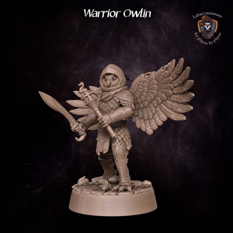 Image of Warrior Owlin