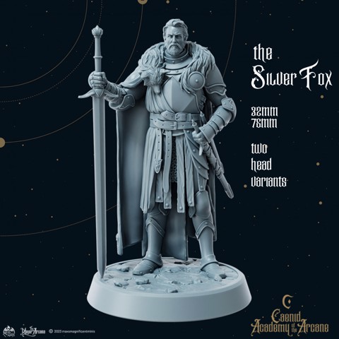 Image of The Silver Fox