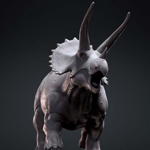 Image of Triceratops 3