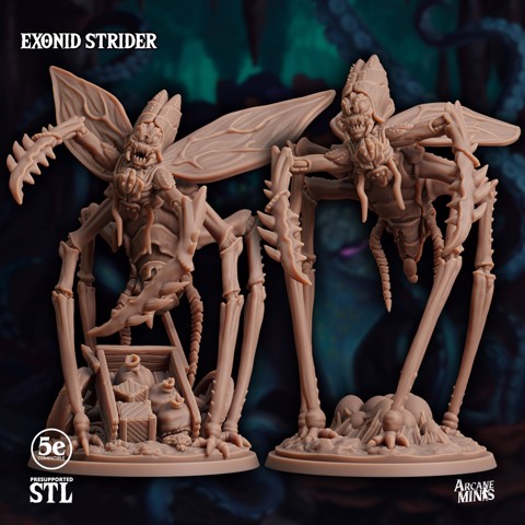 Image of Exonid Strider