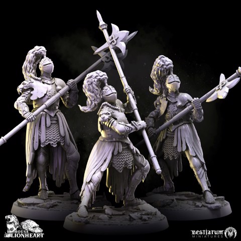 Image of Lionheart Knights x 3