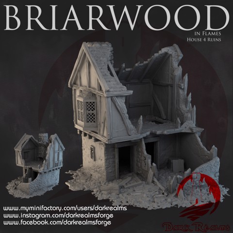 Image of Dark Realms - Briarwood - House 4 Ruins
