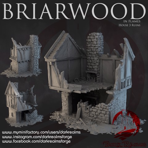 Image of Dark Realms - Briarwood - House 3 Ruins