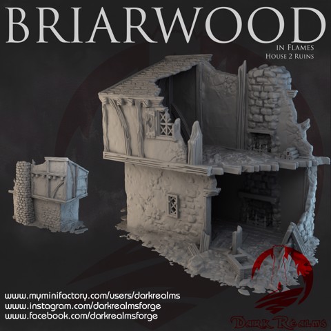 Image of Dark Realms - Briarwood - House 2 Ruins