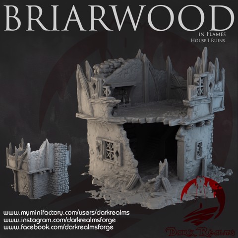 Image of Dark Realms - Briarwood - House 1 Ruins