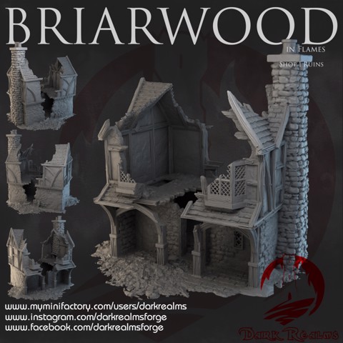 Image of Dark Realms - Briarwood - Shop 1 Ruins