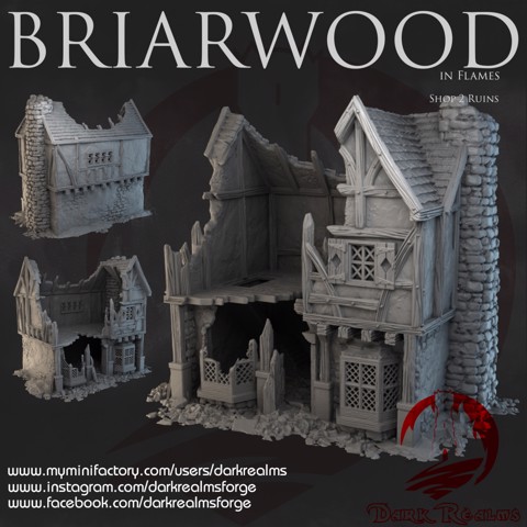 Image of Dark Realms - Briarwood - Shop 2 Ruins