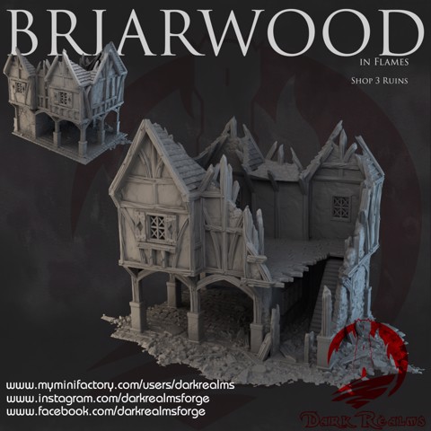 Image of Dark Realms - Briarwood - Shop 3 Ruins