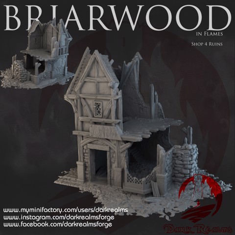 Image of Dark Realms - Briarwood - Shop 4 Ruins