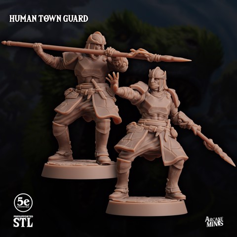 Image of Human Town Guard