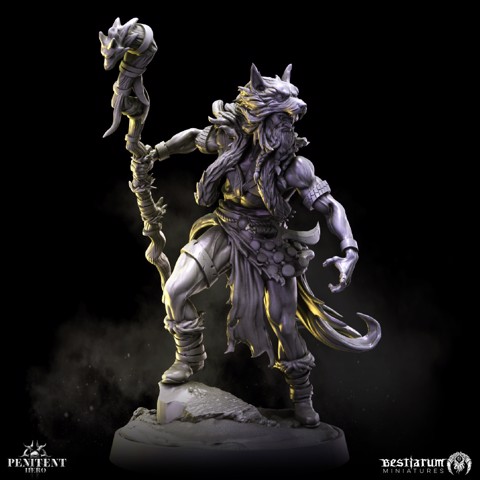 Image of Lycan Druid