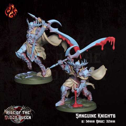 Image of Sanguine Knights
