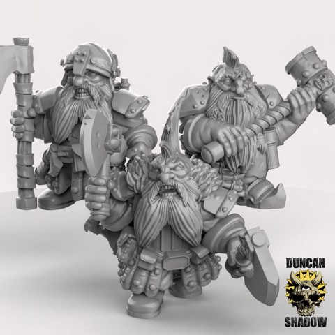 Image of Dwarf Hero Adventurers  (Pre Supported)