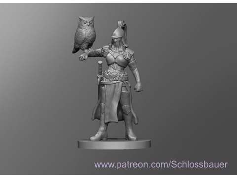 Image of Castlevania owl knight