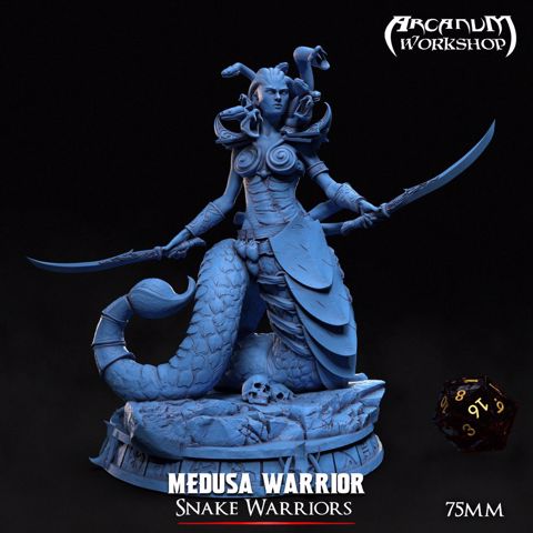 Image of Medusa Warriror (75mm)
