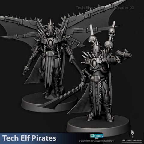 Image of Leaders - Tech Elf Pirates