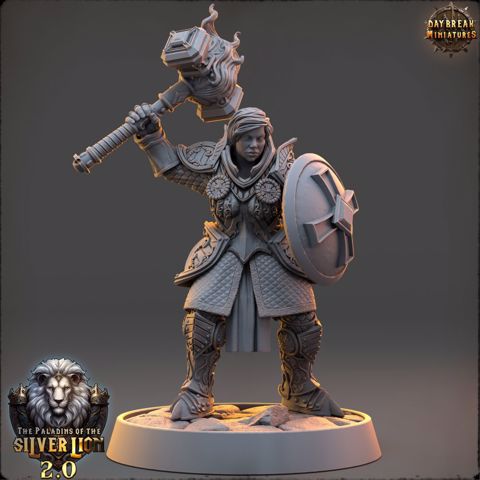 Image of Paladin NEW 14