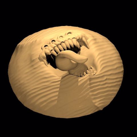 Image of Dune Mimic