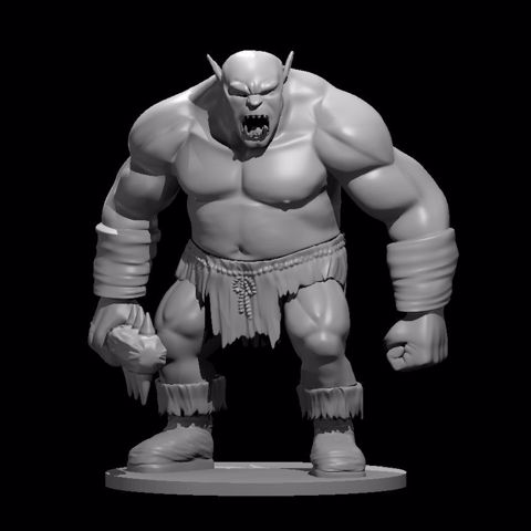 Image of Ogre 3