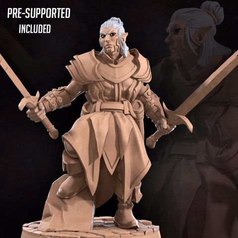 Image of Drow Weapon Master [CURRENT TRIBES RELEASE]