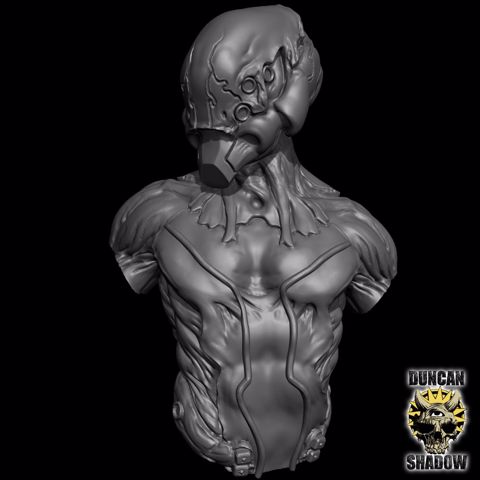 Image of Bio Morph Bust