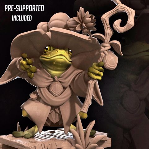 Image of Frogfolk Wizard