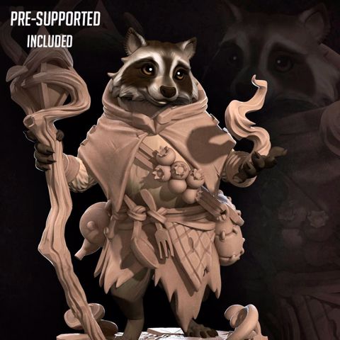 Image of Raccoonfolk Druid