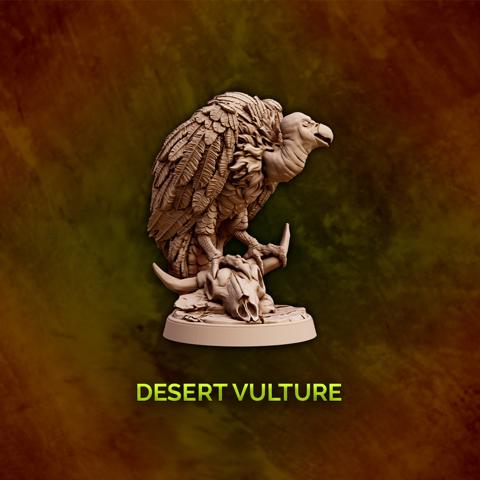 Image of Desert Vulture