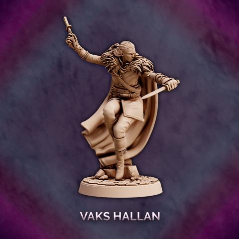 Image of Vaks Hallan - Elf Rogue