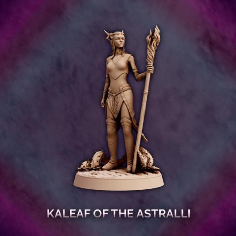 Image of Kaleaf of the Astralli - Elf Druid