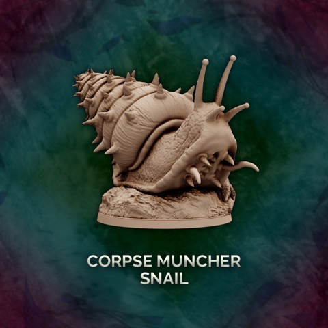 Image of Corpse Muncher Snail