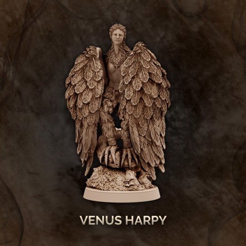 Image of Venus Harpy