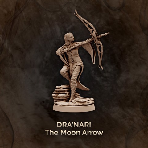 Image of Dra’nari, the Moon Arrow - Arcane Archer