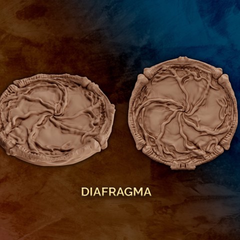 Image of Diafragma