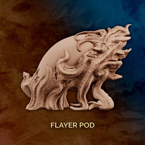 Image of Flayer Pod