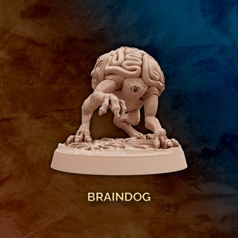 Image of Braindog