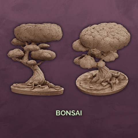 Image of Bonsai Tree