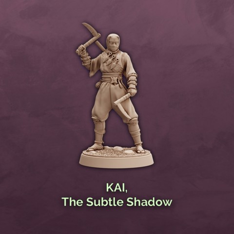 Image of Kai, The Subtle Shadow - Human Ninja